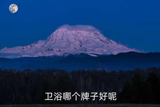 好用便宜衛(wèi)浴推薦品牌,最便宜的衛(wèi)浴品牌