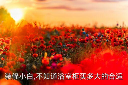 裝修小白,不知道浴室柜買多大的合適