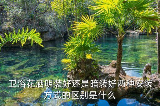  衛(wèi)浴花灑明裝好還是暗裝好兩種安裝方式的區(qū)別是什么