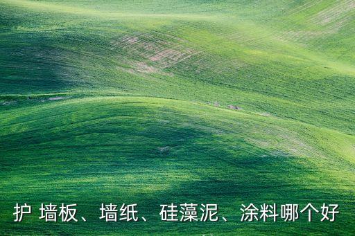 護 墻板、墻紙、硅藻泥、涂料哪個好
