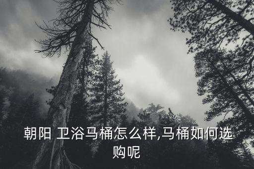  朝陽(yáng) 衛(wèi)浴馬桶怎么樣,馬桶如何選購(gòu)呢