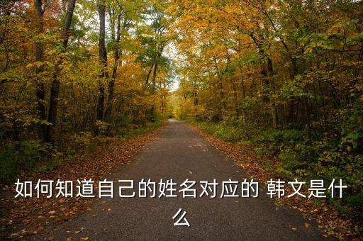 如何知道自己的姓名對應的 韓文是什么