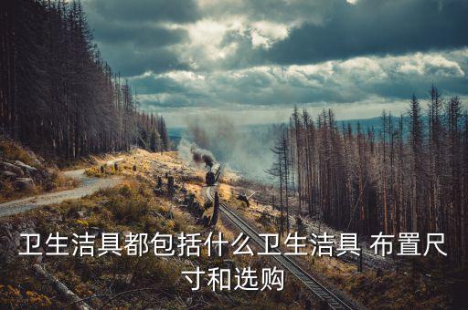衛(wèi)生潔具都包括什么衛(wèi)生潔具 布置尺寸和選購