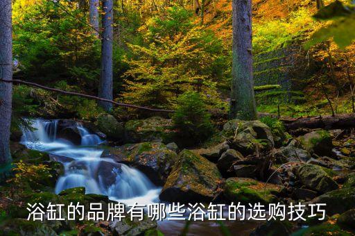 浴缸的品牌有哪些浴缸的選購技巧