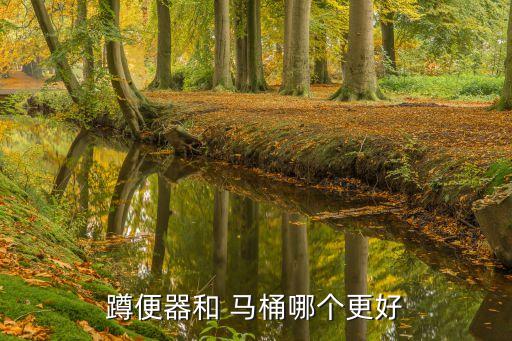 蹲便器和 馬桶哪個更好