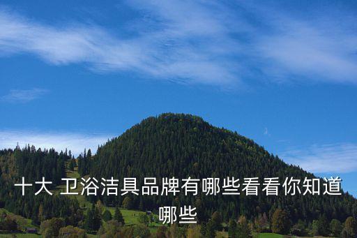 十大 衛(wèi)浴潔具品牌有哪些看看你知道哪些