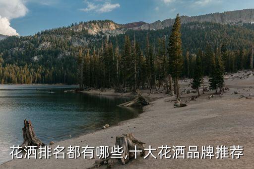 水口衛(wèi)浴博覽城品牌,江門(mén)水口有哪些品牌衛(wèi)浴