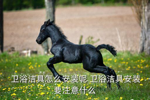 松下康巴什區(qū)衛(wèi)浴安裝地址