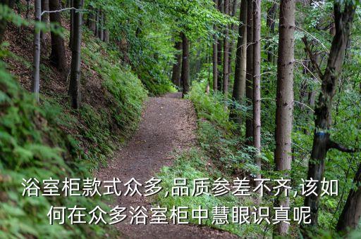 衛(wèi)浴定制秘笈圖片,定制衛(wèi)浴柜子設計圖片大全