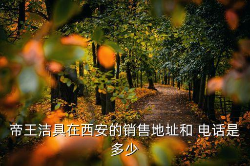 帝王潔具在西安的銷售地址和 電話是多少