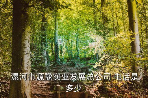  漯河市源豫實業(yè)發(fā)展總公司 電話是多少
