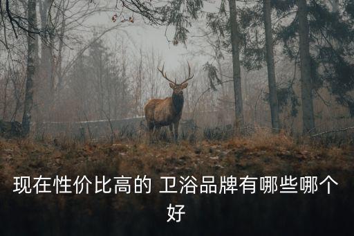 現(xiàn)在性價比高的 衛(wèi)浴品牌有哪些哪個好