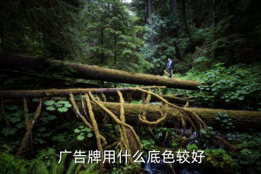 衛(wèi)浴店面廣告牌設(shè)計(jì)圖片,飼料廣告牌圖片大全店面