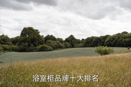 浴室柜品牌十大排名