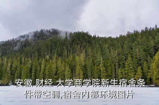  安徽 財經(jīng) 大學(xué)商學(xué)院新生宿舍條件帶空調(diào),宿舍內(nèi)部環(huán)境圖片