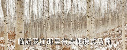 臨沂衛(wèi)浴商城地址,臨沂商城物流園地址