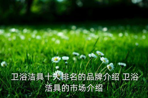  衛(wèi)浴潔具十大排名的品牌介紹 衛(wèi)浴潔具的市場(chǎng)介紹