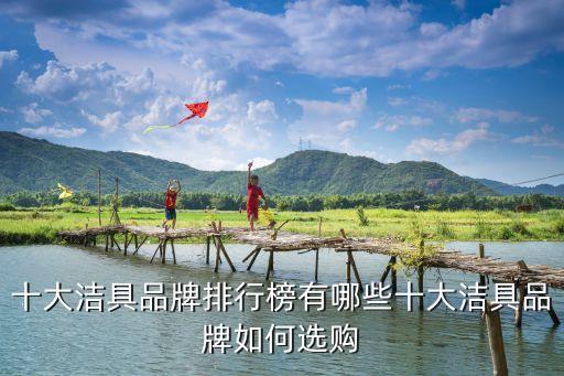 十大潔具品牌排行榜有哪些十大潔具品牌如何選購