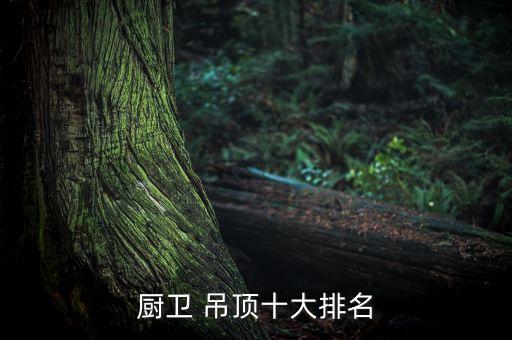 滄州衛(wèi)浴吊頂品牌哪個(gè)好,衛(wèi)浴集成吊頂十大品牌排行榜