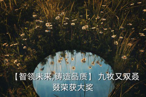 【智領(lǐng)未來(lái),鑄造品質(zhì)】 九牧又雙叒叕榮獲大獎(jiǎng)