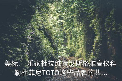 美標(biāo)、 樂家杜拉維特漢斯格雅高儀科勒杜菲尼TOTO這些品牌的共...
