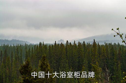 中國(guó)十大浴室柜品牌