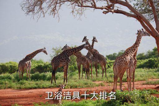  衛(wèi)浴潔具十大排名