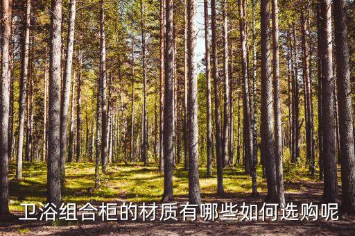 實木大板衛(wèi)浴柜圖片欣賞