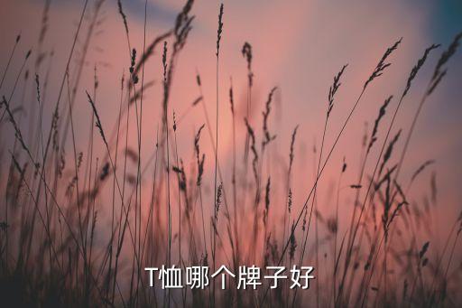 T恤哪個牌子好