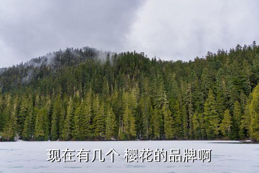 現(xiàn)在有幾個(gè) 櫻花的品牌啊