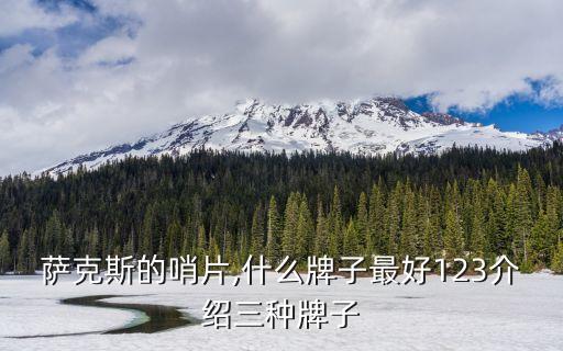薩克斯的哨片,什么牌子最好123介紹三種牌子