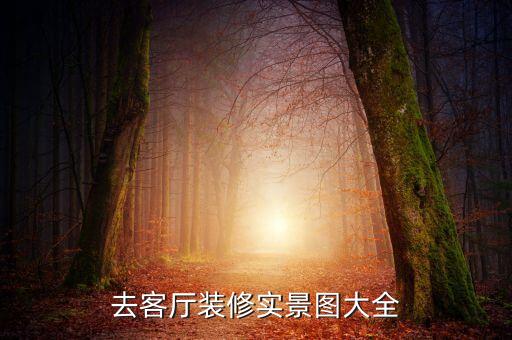 去客廳裝修實景圖大全