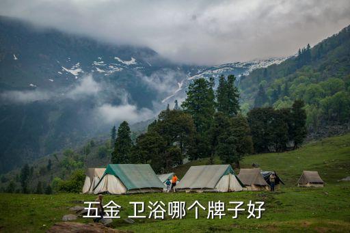 五金 衛(wèi)浴哪個牌子好