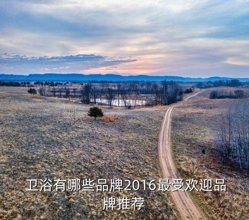 對實(shí)體友好的衛(wèi)浴品牌有