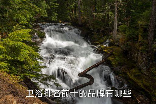  衛(wèi)浴排名前十的品牌有哪些