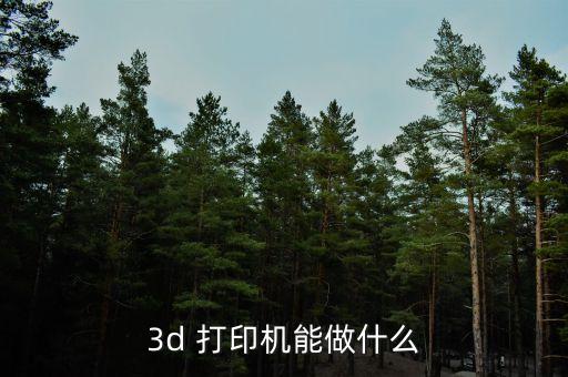 3d 打印機能做什么