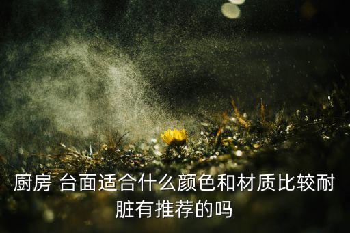 廚房 臺(tái)面適合什么顏色和材質(zhì)比較耐臟有推薦的嗎