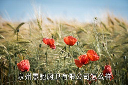  泉州景馳廚衛(wèi)有限公司怎么樣