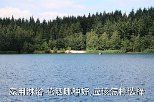 家用淋浴 花灑哪種好,應(yīng)該怎樣選擇