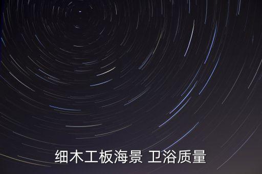 細(xì)木工板海景 衛(wèi)浴質(zhì)量