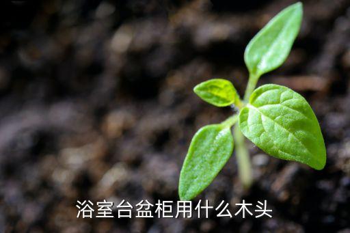 浴室臺盆柜用什么木頭