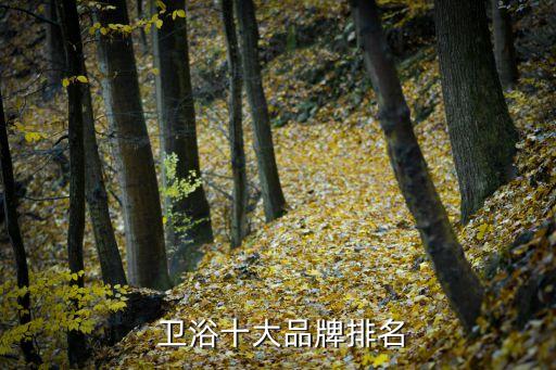  衛(wèi)浴十大品牌排名
