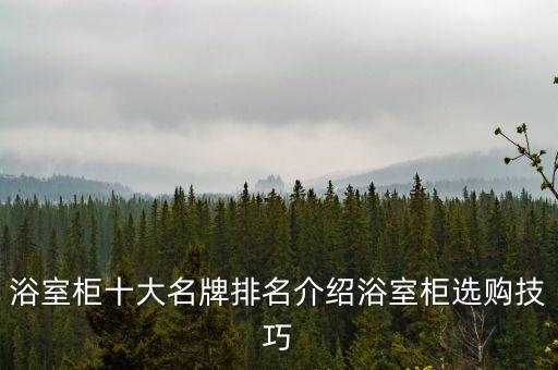 浴室柜十大名牌排名介紹浴室柜選購技巧