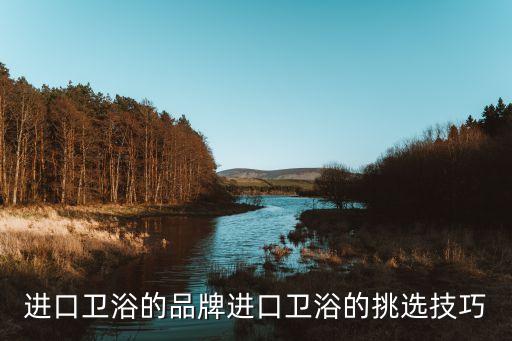 進(jìn)口衛(wèi)浴的品牌進(jìn)口衛(wèi)浴的挑選技巧