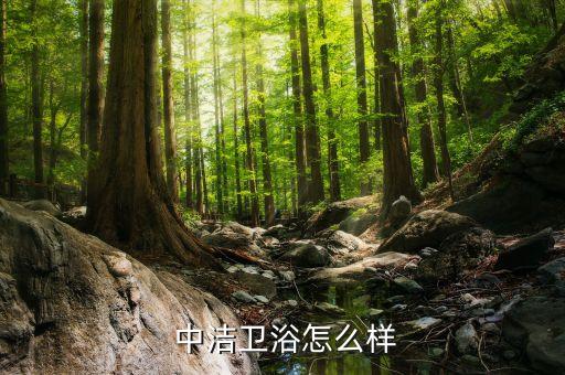 中潔衛(wèi)浴怎么樣