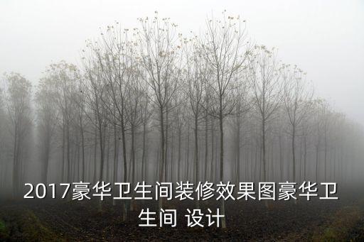 2017豪華衛(wèi)生間裝修效果圖豪華衛(wèi)生間 設(shè)計(jì)