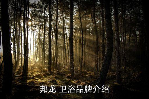 邦龍 衛(wèi)浴品牌介紹