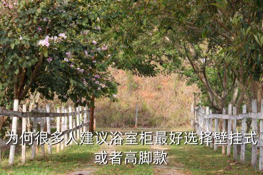 為何很多人建議浴室柜最好選擇壁掛式或者高腳款