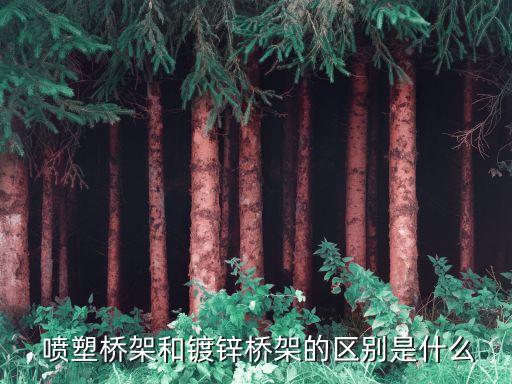 衛(wèi)浴噴塑表面處理方法圖片