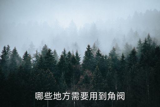 裝衛(wèi)浴前要裝角閥嗎圖片
